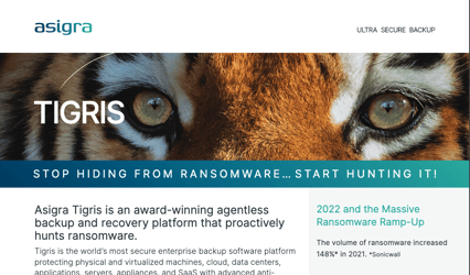 Stop Hiding From Ransomware... Start Hunting it.